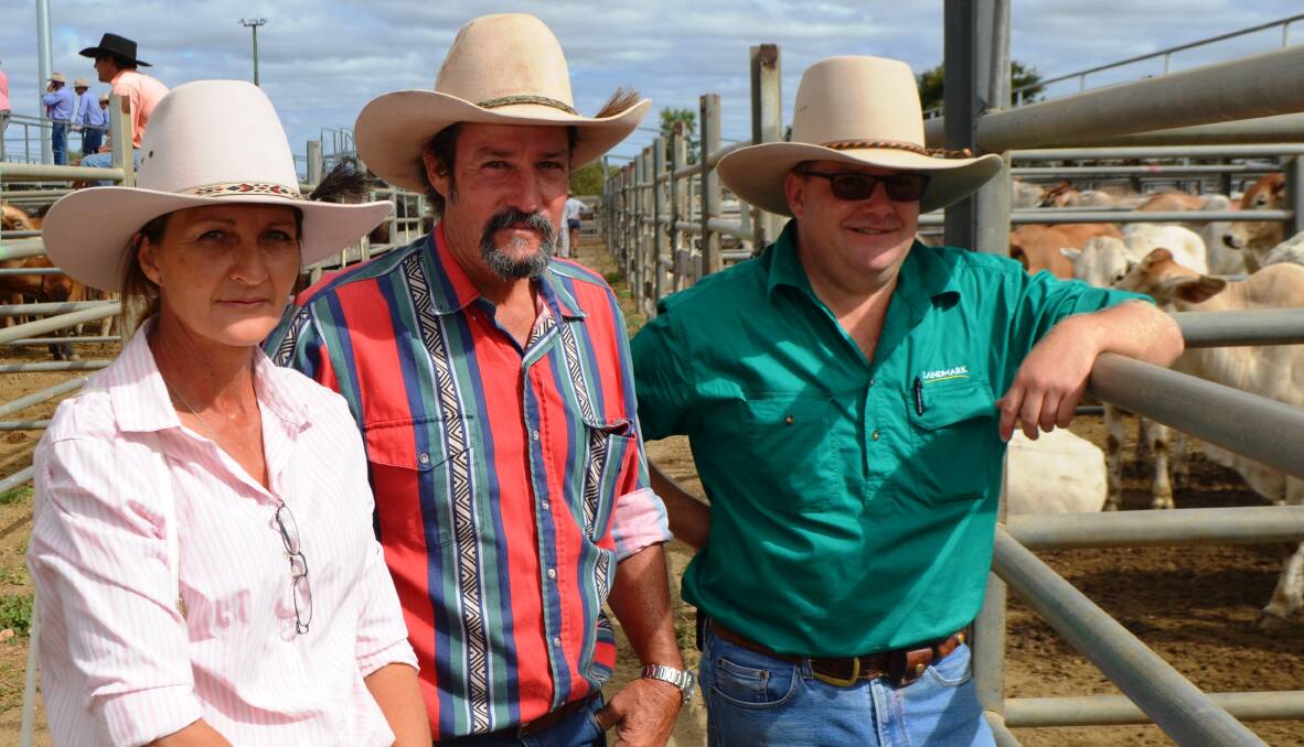 Teresa and Michael Toohey, Glen Dhu, Mt Garnet inspect the steers and heifers available at the sale with Tony Bowen from Landmark Charters Towers.