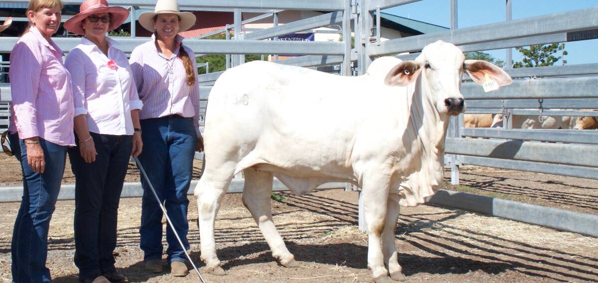 Wendy Cole, Kenrol, Margaret Maloney, Kenilworth and Trish Draper with 2016 sale top price female Kenrol Seren D 2738 (S). Photo by Kent Ward.