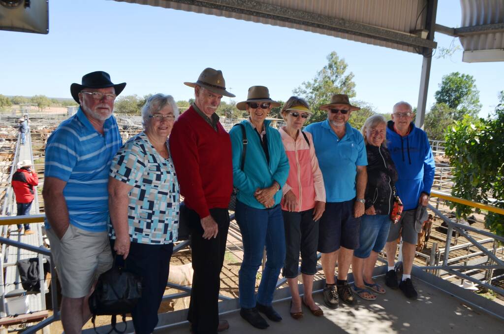 A contingent of tourists from Tasmania, Victoria and New South Wales came to the Dalrymple Saleyards to have a look at the sale action.