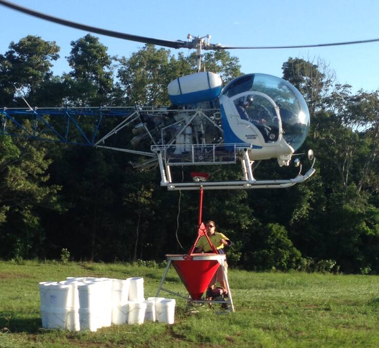 A helicopter will be used to spread granules of ant bait over affected rural and peri-urban areas such as rainforests and cane farms in and around the Wet Tropics World Heritage Area. 