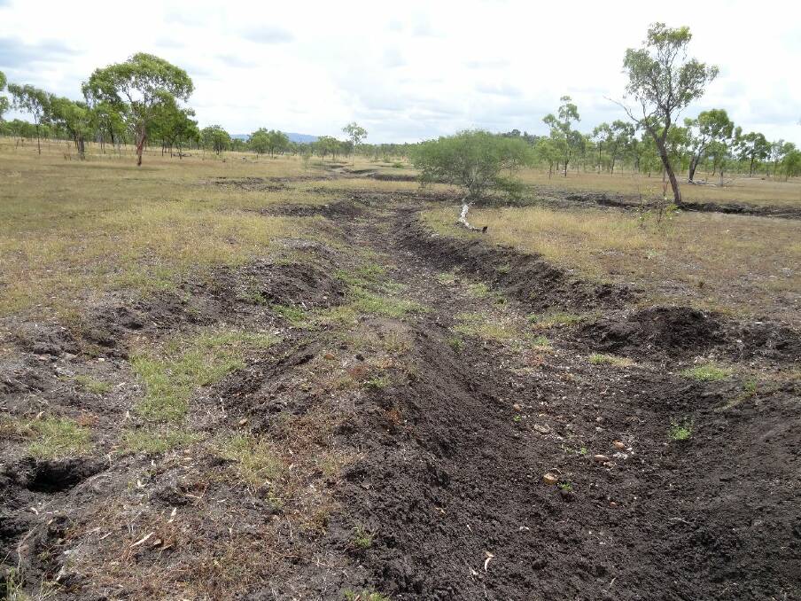 During the NQ Dry Tropics Gully Remediation Field Day graziers will explore how erosion can be repaired using materials and equipment already available on-property.