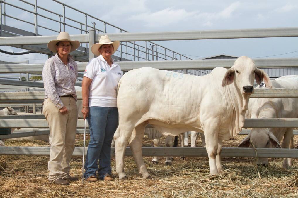 Summit reached: Kenrol Miss Summit 2816 (AI) (H) sold to John and Sue Joyce, Tropical Cattle Stud, Ingham. for $15,000 at the 2017 sale. The heifer was offered by Wendy Cole, Kenrol Stud, Gracemere (pictured with Trish Draper).