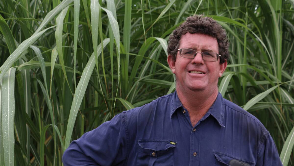 Ian Shepherdson was one of the first growers in the Burdekin to be struck by YCS. He has given SRA researchers access to his farm to conduct trials that he hopes will provide an answer to the YCS problem.  Photo: Sugar Research Australia.