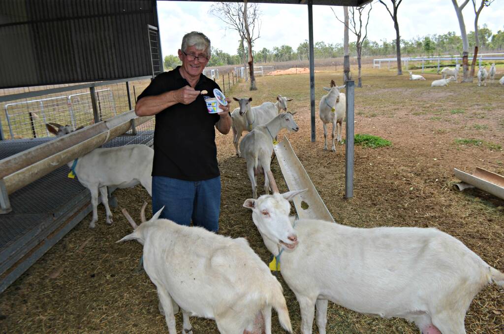 Brian (pictured) and Jean Venten's Ebuta Goat Dairy is one of just three fully accredited raw goat milk dairy's in Queensland, and the only one located in the North. The business recently moved into gelato production using their milk as the base product.