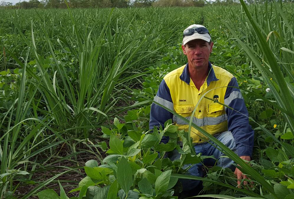 Marian sugarcane farmer Simon Mattsson believes declining cane productivity can be reversed by building soil health through plant diversity and biological activity.