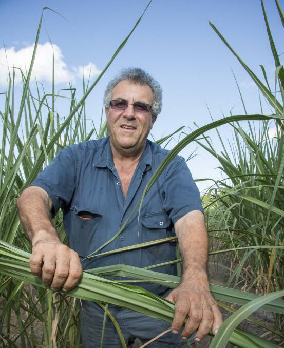 Farleigh-based cane grower Paul Schembri said meeting the practices in the Smartcane BMP modules helps cane farmers enhance their profitability and productivity, as well as meet legislative requirements.