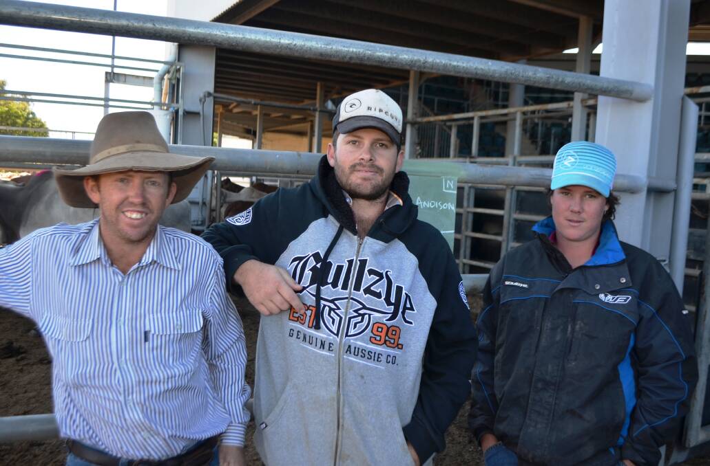 The Richmond trio of Matthew Crowley, Clay Lumb and Jake Laidlow were at the sale purchasing slaughter cattle for Mr Lumb's butcher shop back home.