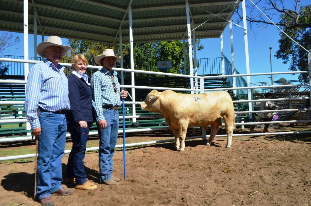 Sale vendors Michael, Sue and Mark Hopgood, Hopgood Charolais, Goondiwindi, with Hopgood Keycard. The red factor 25-month-old bull sired by Palgrove Freeman set a new sale record when he sold for $12,000 to Ross Parkinson, Parkinson Family Trust, Sarina.