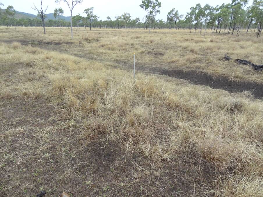 May 2014: The paddock received a full wet season spell and a very low stocking for eight days.  Despite moderate to high groundcover, the O'Sullivan's had observed continuing advancement of the gully head.
