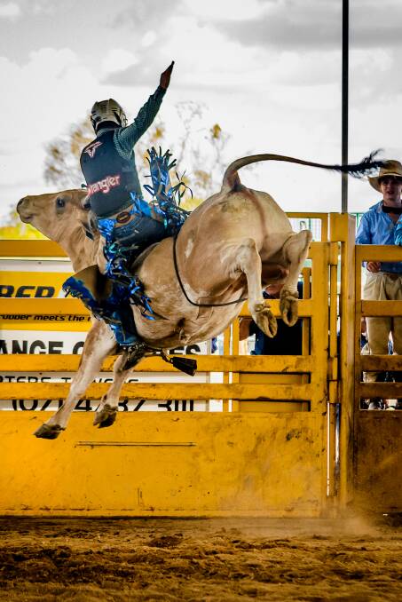 Heart-pounding suspense: Wyatt Milgate gets some rare air in the Junior Bull Ride during the 2016 Dust n Gold Rodeo. Photo courtesy of Mel Bethel Photography.