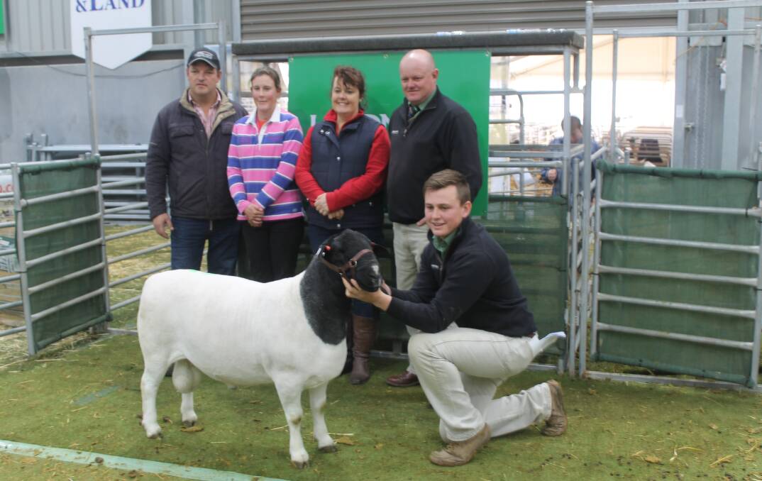 TOP PRICE: Dell Dorpers Freddie achieved top price at the Supreme sale, with buyer Brad Edson, seller Andrea van Niekerk, Tanya Edson, and auctioneers Landmark Echuca's John Settree and Lachlan Collins: Picture: Andrew Miller.