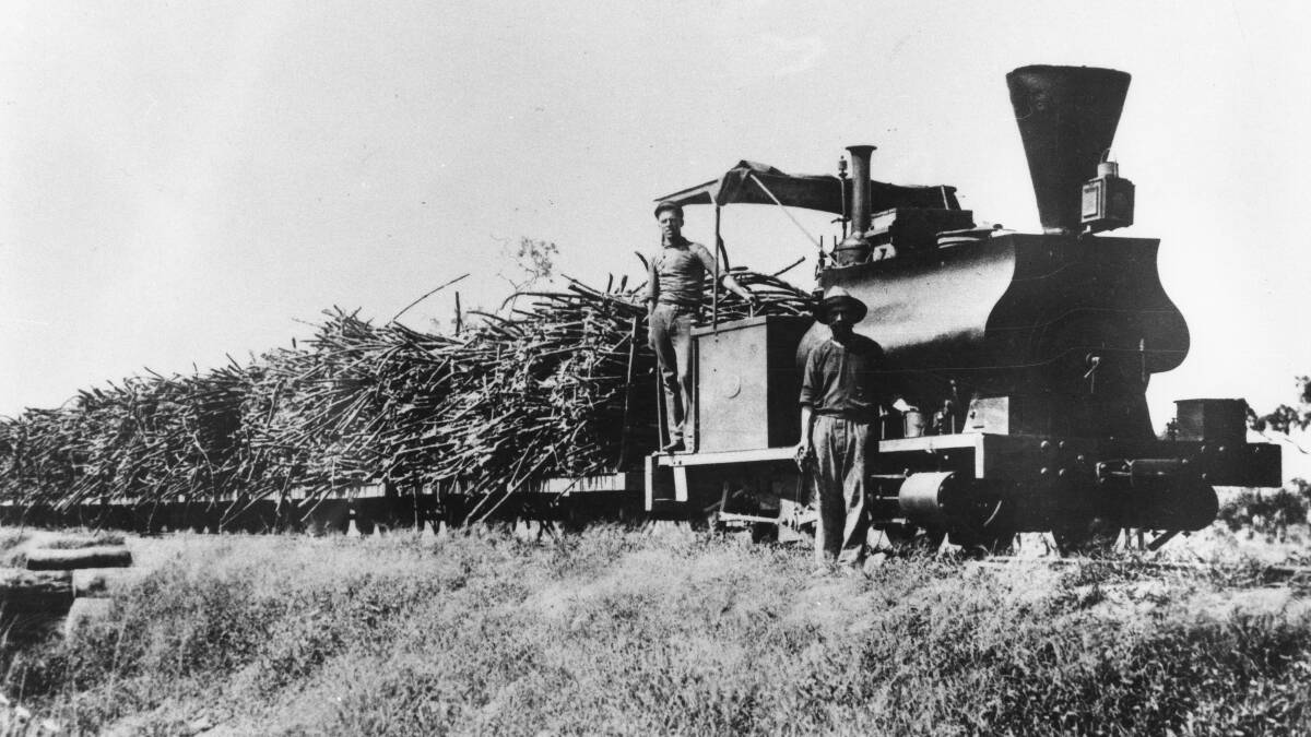 Sweet travels: Sugar cane train enroute to the Pioneer mill in north Queensland. Photo: State Library of Queensland.