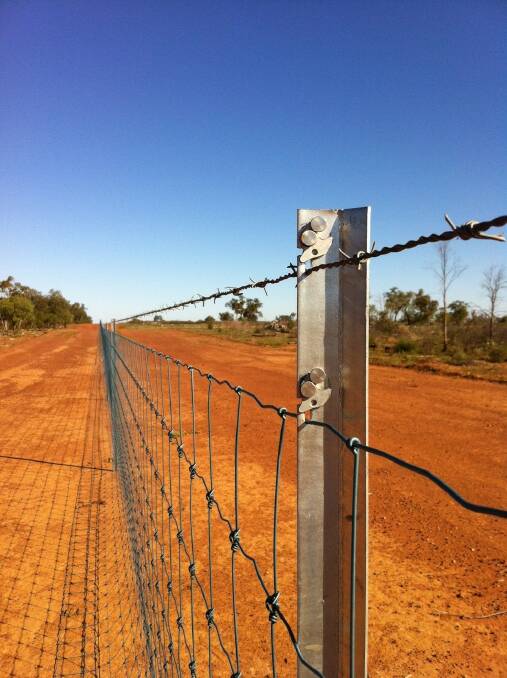 Fencing dilemma: The Queensland Building and Construction Commission has ruled that people putting up cluster fencing as part of the Longreach Regional Council scheme must be licensed.