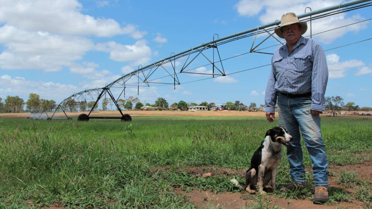 Losing the plot: John Brownson, Forest Home, is one of the Charters Towers graziers facing the loss of all he's developed, including hay plots. Picture: Sally Cripps.