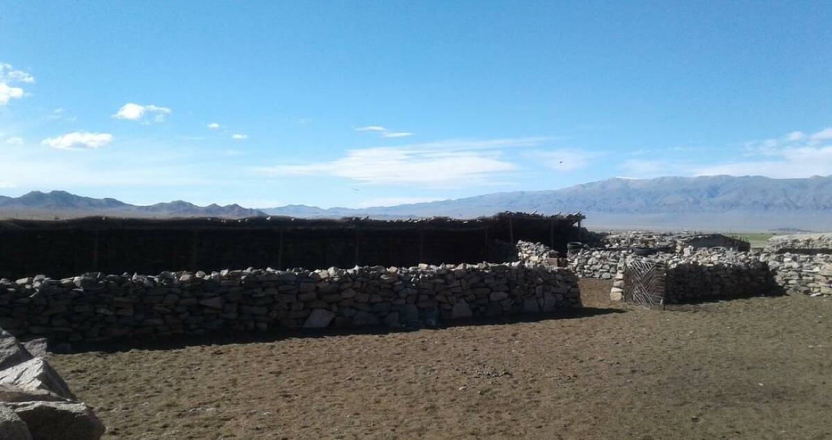 Dalene and Ross were able to view a shelter used by Mongolia's nomadic herders to hold their livestock in winter.