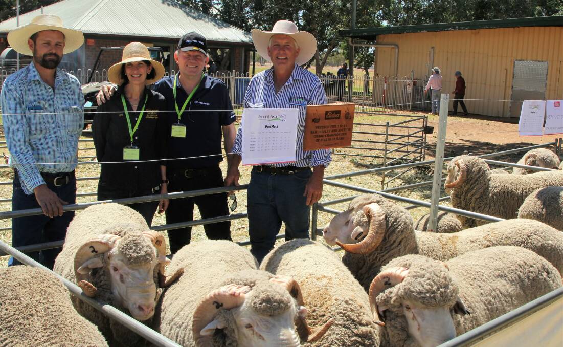 Restocking: Grant, Lee and John Laidler, with Nigel Brumpton, Mt Ascot, and the highest priced pen of rams. Pictures: Sally Cripps.