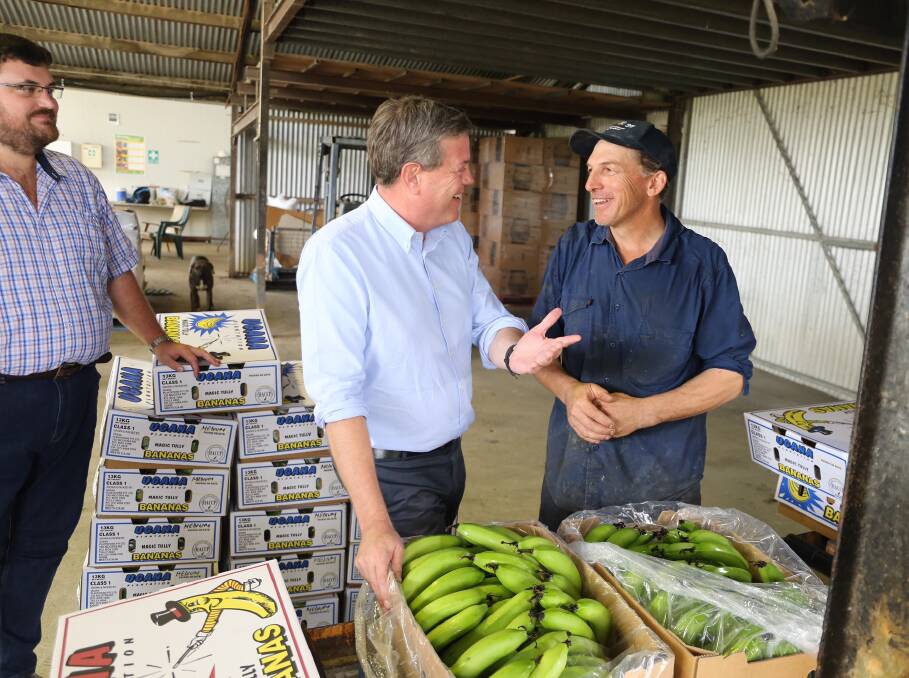 LNP Hinchinbrook MP, Andrew Cripps, and opposition leader Tim Nicholls with Tully banana farmer, Andrew Apap, at Mr Apap’s farm in Tully on Wednesday. Photos supplied.
