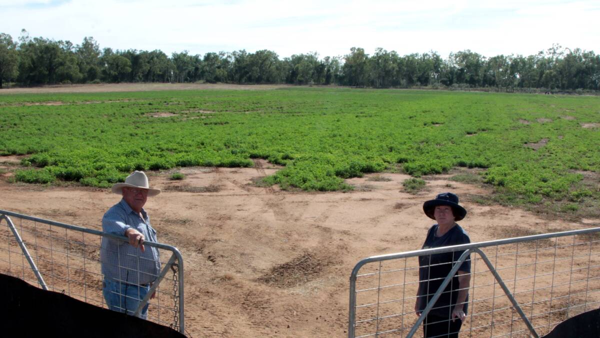 Shut the gate: Colin and Noeleen Ferguson fear plans to expand their Burdekin irrigated cropping area will be blocked if vegetation management laws for irrigated high-value agriculture are wound back. Picture: Sally Cripps.