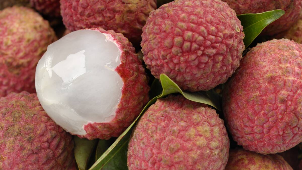 Sweet success: The quality and taste of exported Australian lychees were well received by US consumers when the first-ever shipment from Australia took place.