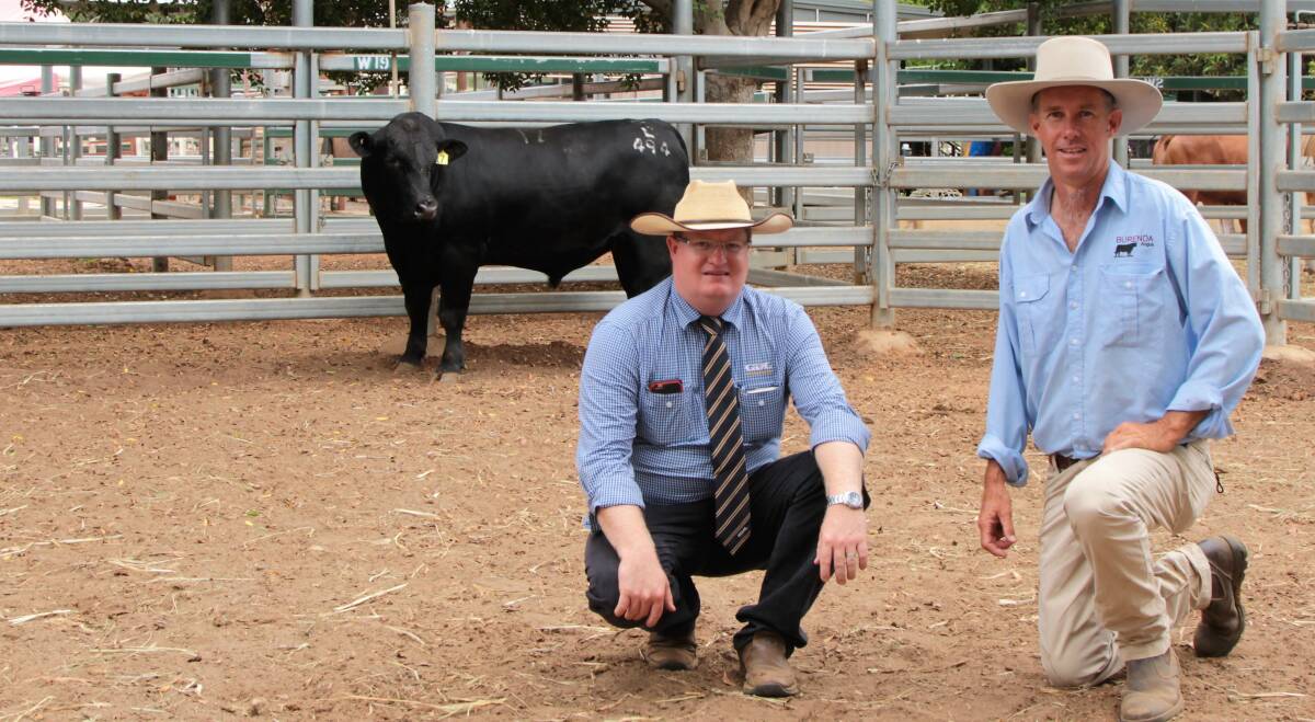 Lethal weapon: GDL livestock auctioneer Mark Duthie and Burenda Angus representative Jonathan Schmidt with sale topper Burenda Lethal. Picture: Sally Cripps.