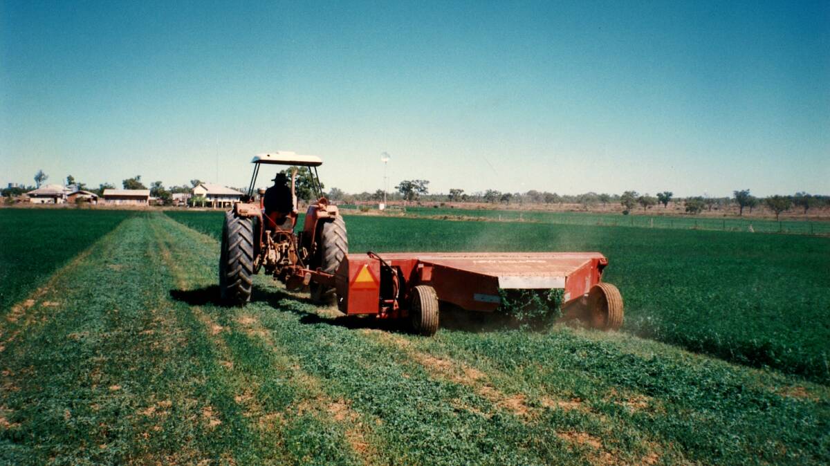 Colin Ferguson harvesting a lucerne crop from the existing 18ha irrigated agriculture plot at Cardigan station, in the early 2000s.