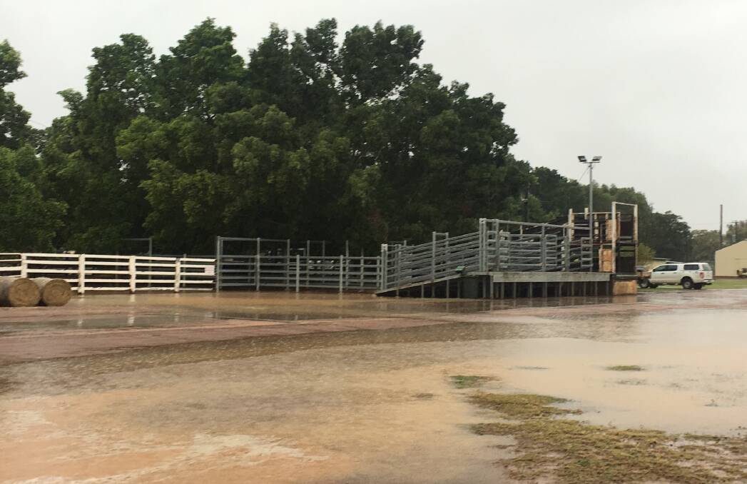 Soggy sight: The flooded truck pad and loading ramp approach at the Blackall saleyards on Friday. Photo: Ann Russell, GDL.
