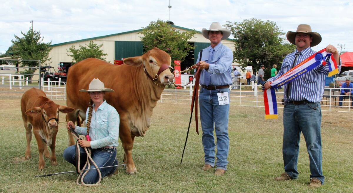 Vale View Yang, exhibited by Kevin Woolcock, was grand champion female. Megan Birch is holding the calf and Hasting Donaldson is presenting the sash.