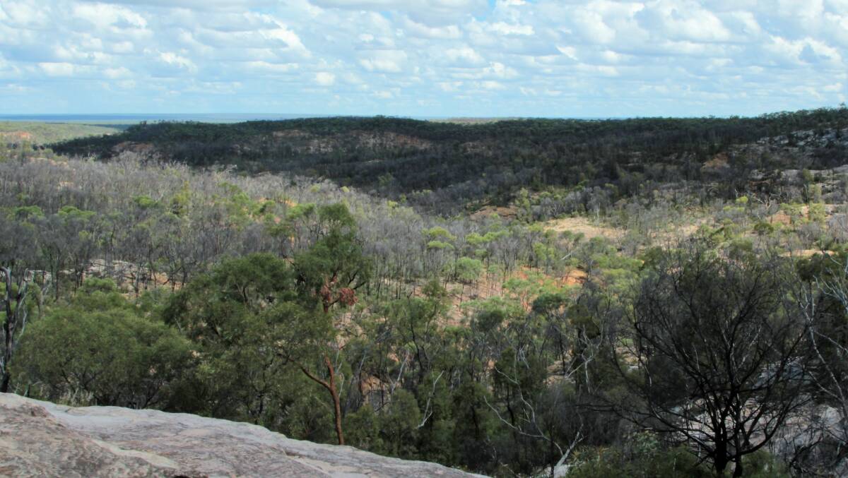 A view of the land south of Pentland proposed as an alternative to the defence department acquisitions at Charters Towers and Shoalwater Bay.