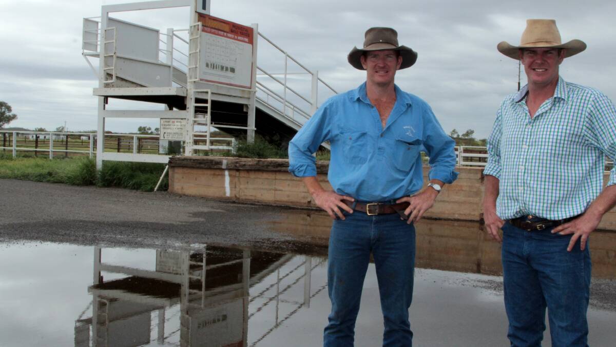 Nathan and Dustin Keyes are the new contractors at the Cloncurry saleyards complex and are looking forward to the 2016 season.