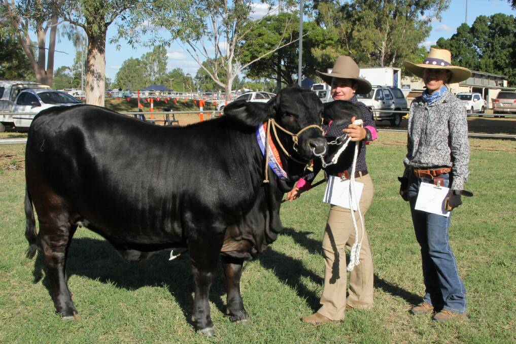 Complete female: Supreme cattle exhibit of the Alpha Show, Moola Georgia, being held by Melissa Spencer, with Sandy Ryan. Picture: Sally Cripps.