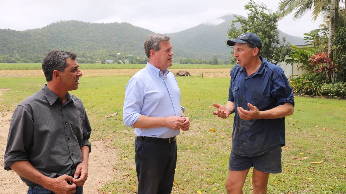 The LNP's candidate for Hill, Mario Quagliata with opposition leader Tim Nicholls and Tully banana farmer, Andrew Apap, at Mr Apap’s farm in Tully.