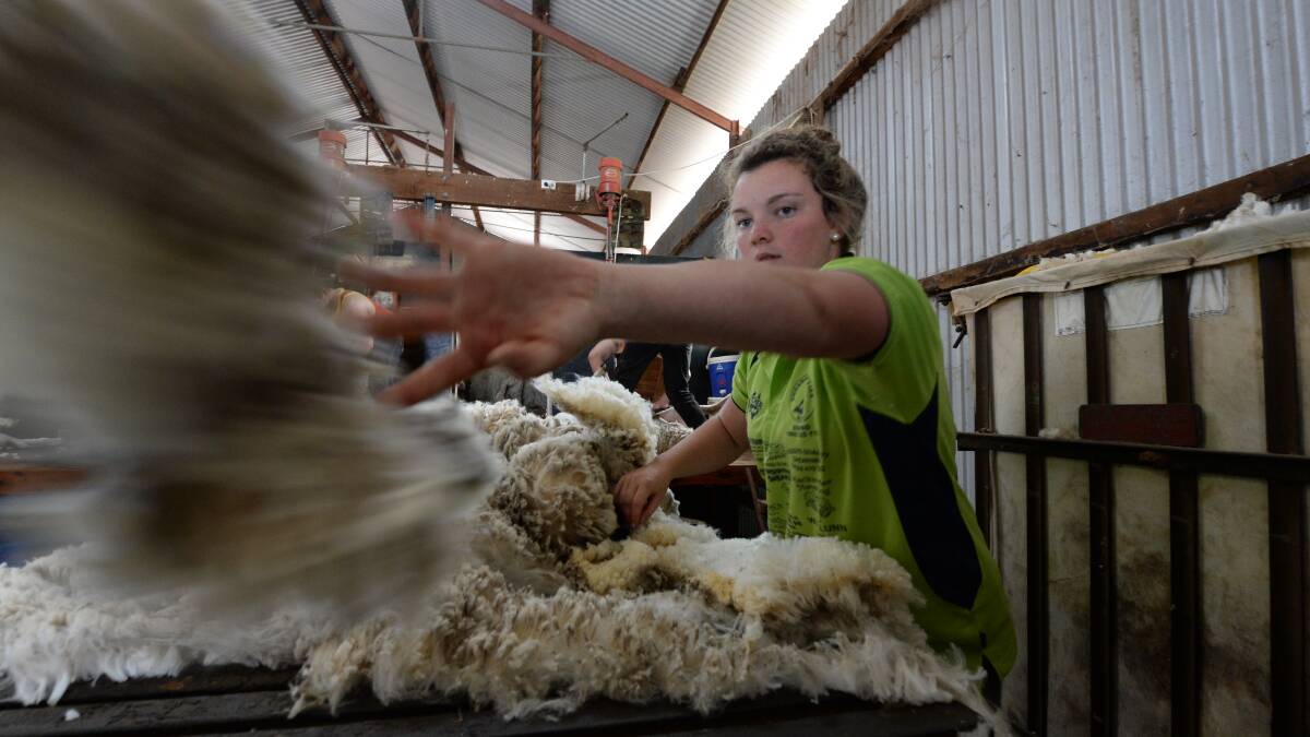 Wool handler, Emma Hutchison, "Blue Hill"', Tooraweenah, skirting fleece from Merino ewes with shearing underway for the Forans at "Baringa", Gilgandra. Photo: Rachael Webb