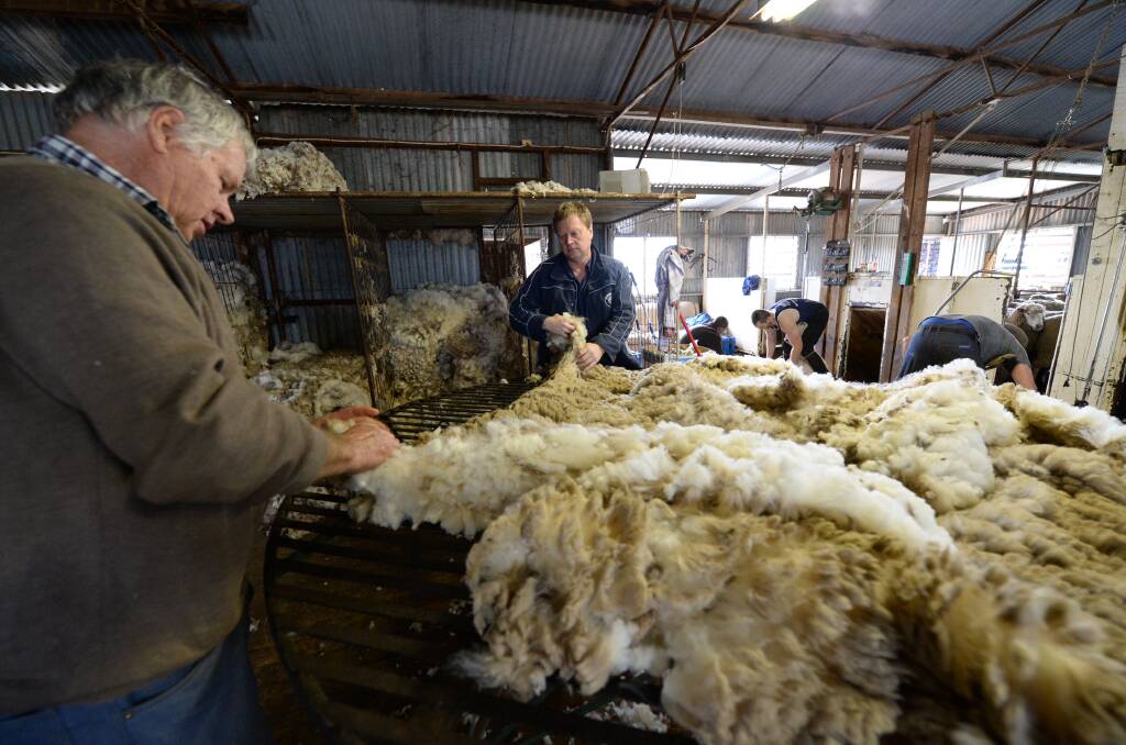 Wool classer Jay Collins, Temora, skirting fleece with shearing the first cross ewes underway for Glen and Chris Hartwig, Cambrai Farming, "Oakbank", Trundley Hall via Temora. Photo: Rachael Webb