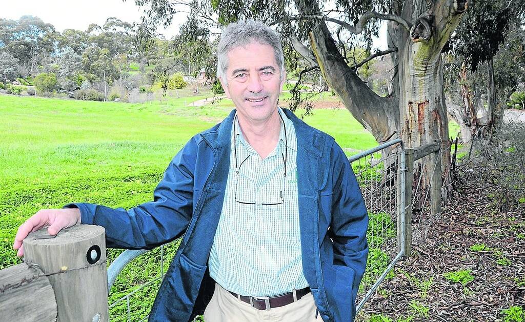 Livestock Logic veterinarian David Rendell, Victoria, said the fluctuating extreme weather conditions has resulted in an increase number of sheep being affected by summer pneumonia. 