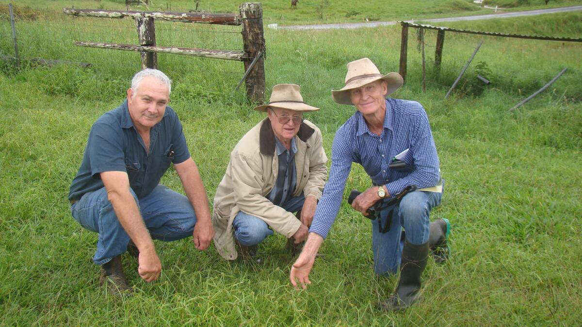 Malanda Beef Plan Group graziers Rob Pagano, Bruce Carcary and DAF senior beef extension officer Bernie English at a Navua sedge control demonstration site. 