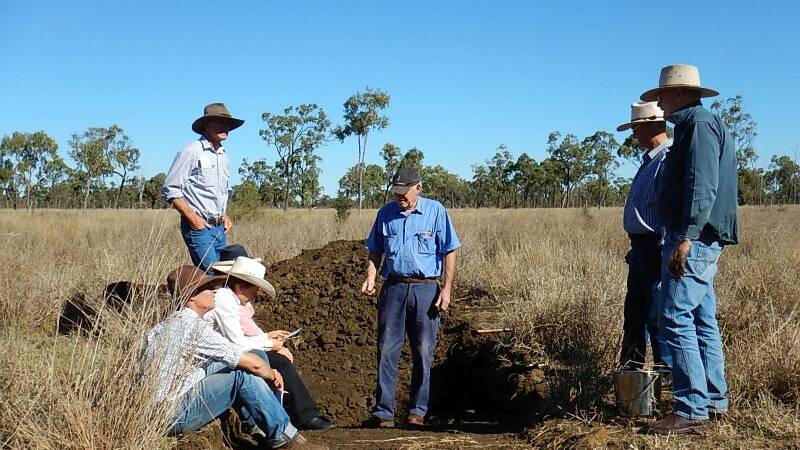 Workshops investigate healthy soils