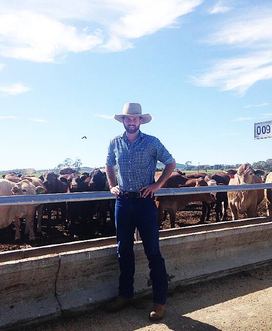 Eulo born and bred, Joel Bentley has been an agribusiness innovation officer with ACC, based at the company’s Brindley Park feedlot near Roma since April this year. 