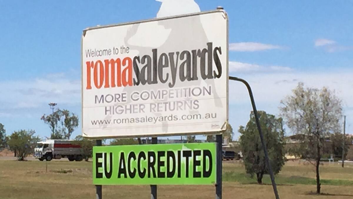 Roma Saleyards ‘buyers’ fee set to be abolished