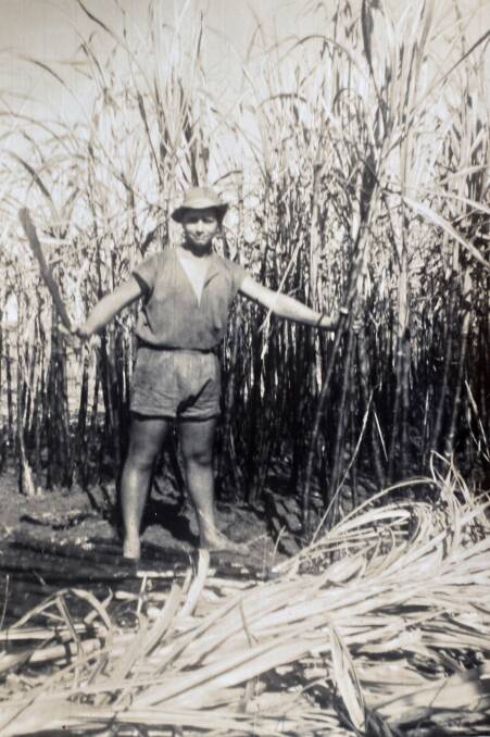 A young Arthur Cecchi. Arthur married Gladys in 1975 marking the continuation of a strong cane family tradition. Photo courtesy the Cecchi family. 
