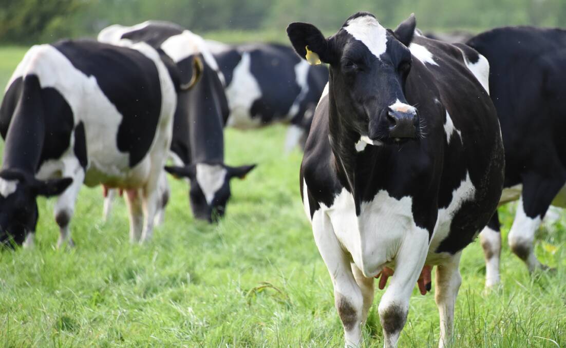 Milk surplus hits confidence