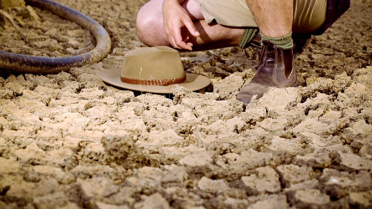 Drought declaration for Bundaberg region