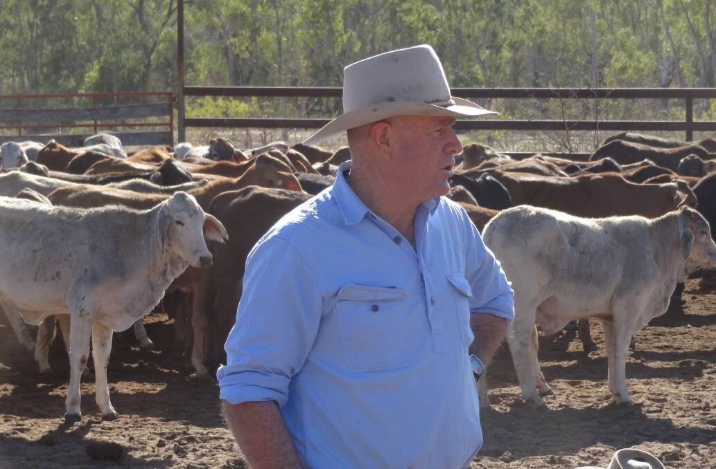 Leading educator and cattleman Jim Lindsay will guide graziers through a two-day Low Stress Stock Handling course at Lancewood, near Glenden.