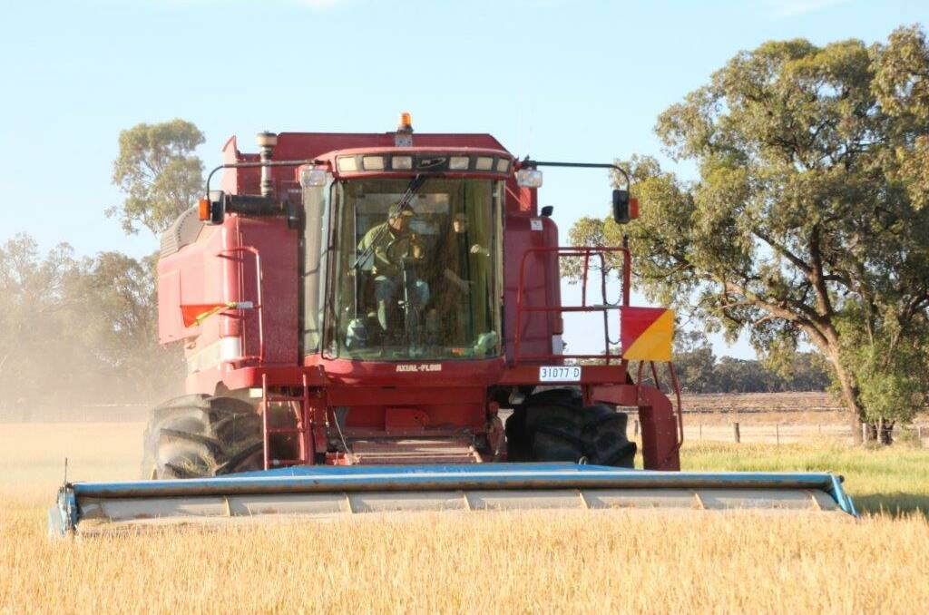 Lisa Chesters taking a ride at harvest time.