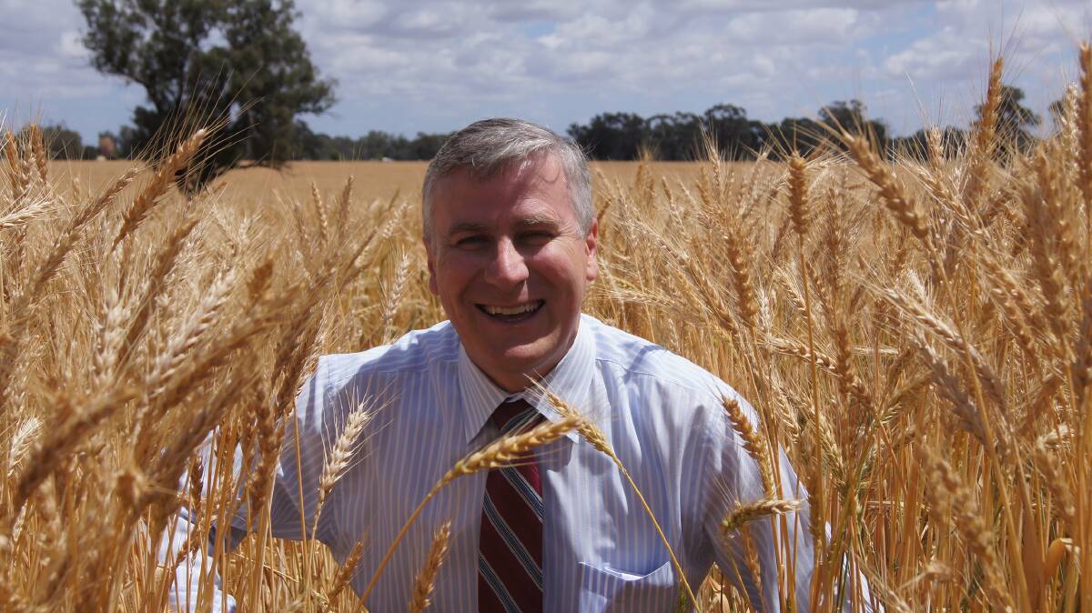 Small Business Minister and regional advocate Michael McCormack.