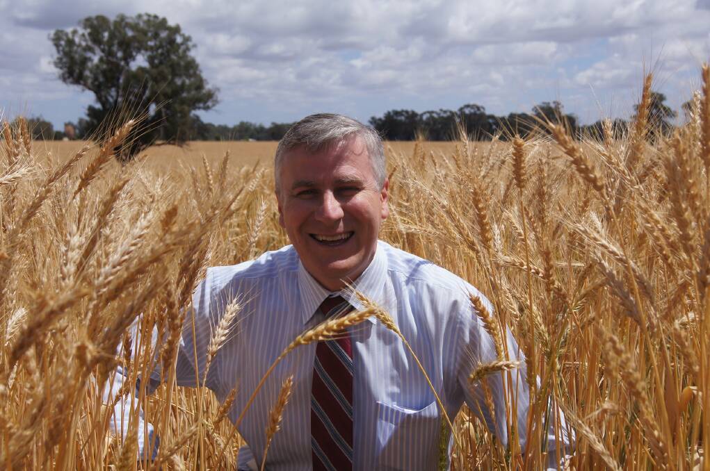 SMALL Business Minister Michael McCormack backing in farm production in this year's budget.