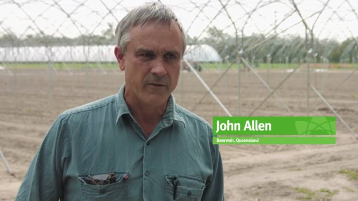 SOIL HEALTH: A screenshot from the video showing strawberry and ginger grower, John Allen, Beerwah, Qld explaining the process of tackling drainage and soil health. 