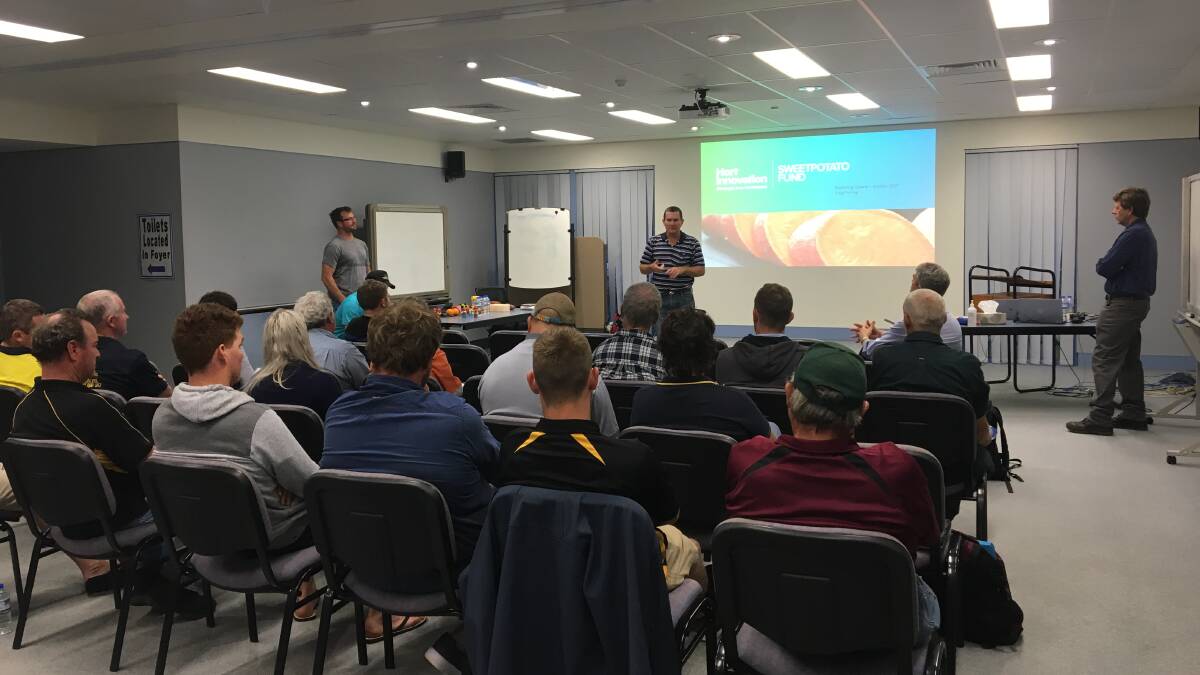 TUNED IN: The sweetpotato workshops provided the opportunity for growers to engage with Horticulture Innovation Australia staff over funding and projects. 