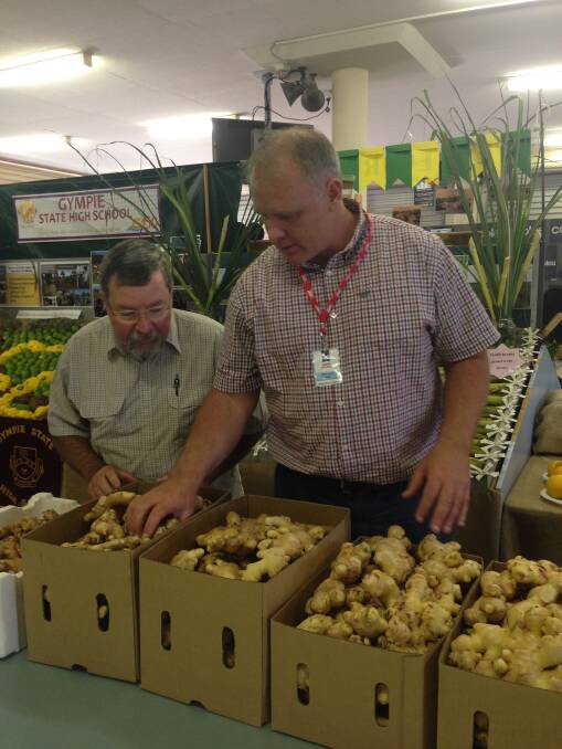TOUGH TASK: Queensland Department of Agriculture regional manager, Jason Keating and senior researcher and ginger specialist, Dr Mike Smith, assessing the entries in the first Australian Ginger Growers Competition at the Gympie Show in May.