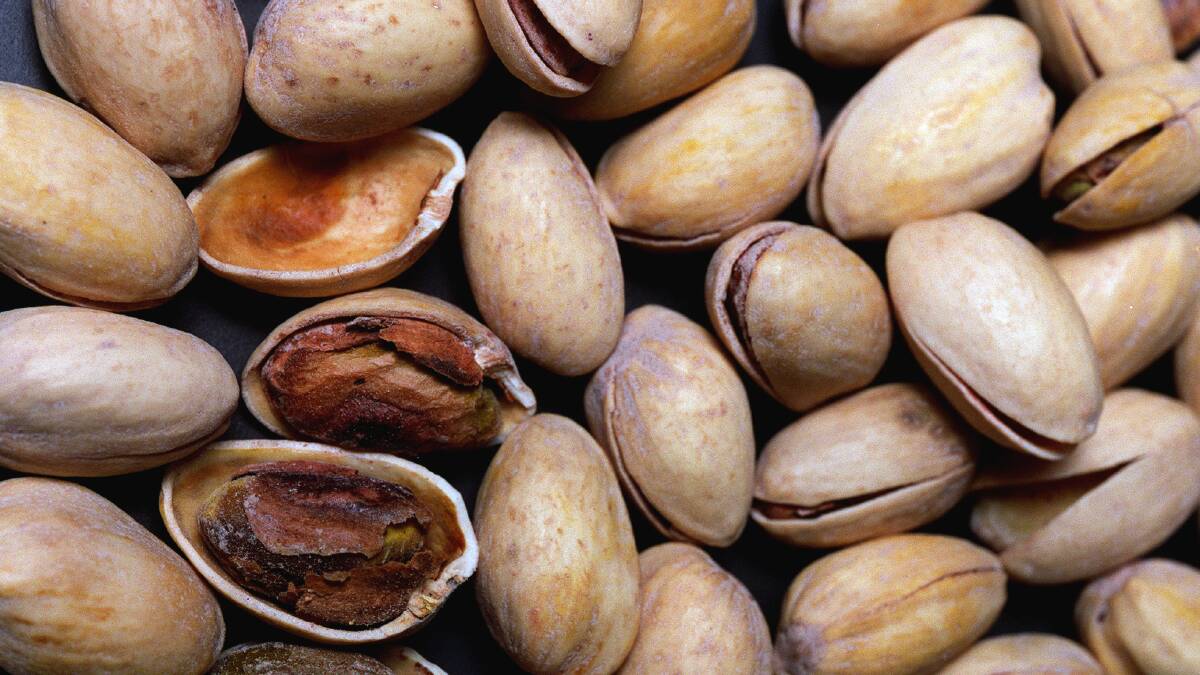 DONE DEAL: The Pistachio Growers’ Association has reached an agreement over its research and development levy with Horticulture Innovation Australia. 
