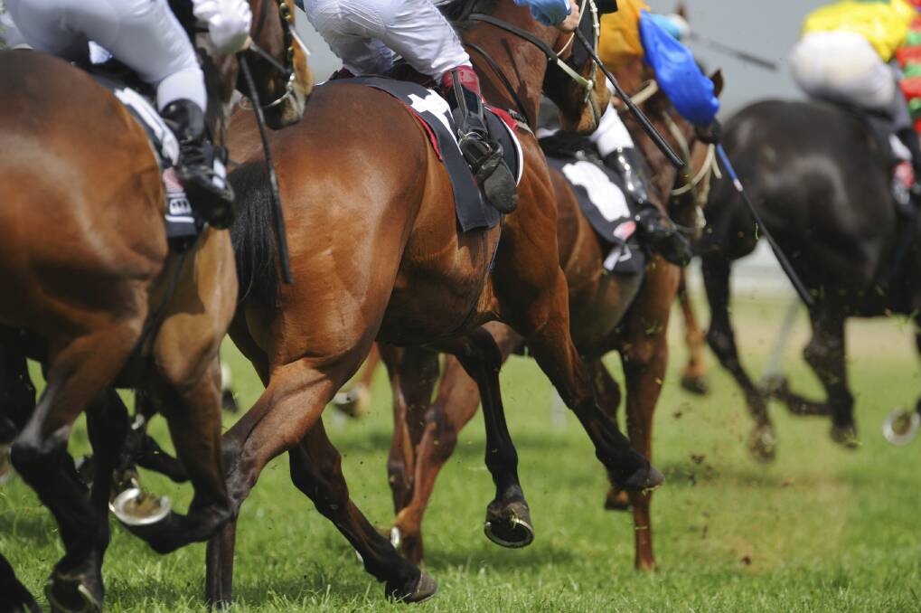 RQ handicapper Nathan Bourke had the final say whether Newmarket top weight and certain favourite Too Good To Refuse would make the trip to Rockhampton on Thursday.